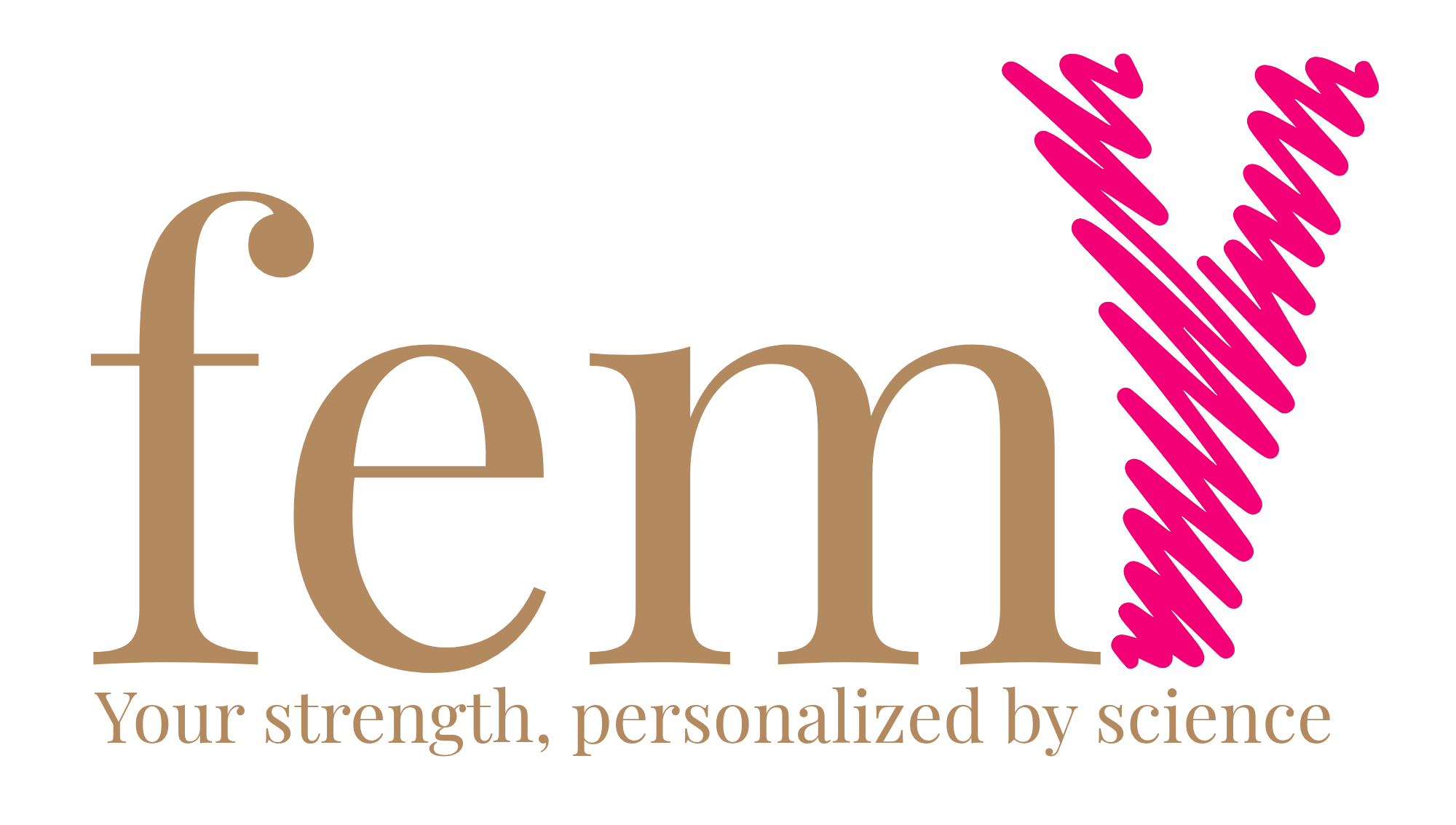 femY logo